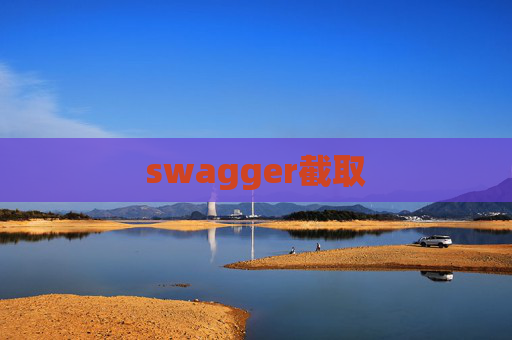 swagger截取